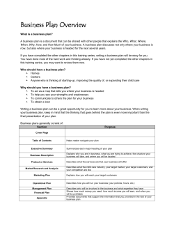 Business Plan Overview and Checklist