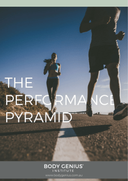 Performance Pyramid - Body Genius Institute