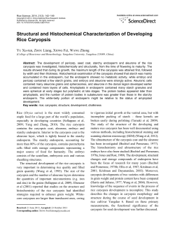 Structural and Histochemical Characterization of Developing Rice