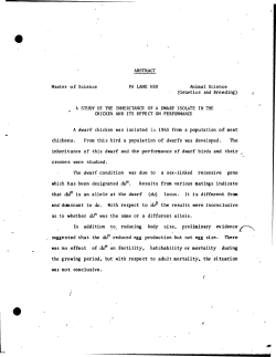 Master of Science Animal Science (Genetics and Breeding) A dwarf