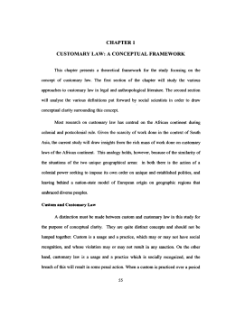 CHAPTERl CUSTOMARY LAW: A CONCEPTUAL