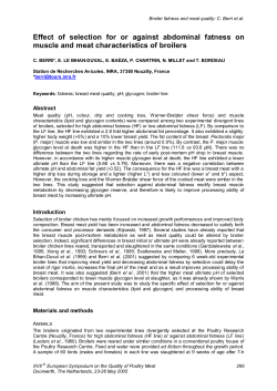 Effect of selection for or against abdominal fatness on muscle