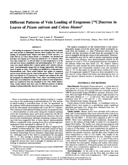 Different Patterns of Vein Loading of Exogenous