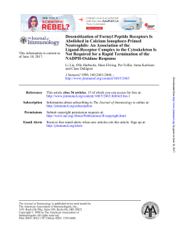 NADPH-Oxidase Response Not Required for a Rapid Termination of