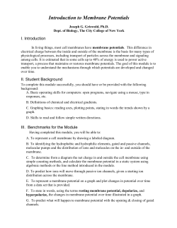 Introduction to Membrane Potentials