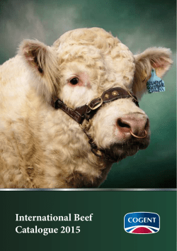 International Beef Catalogue 2015