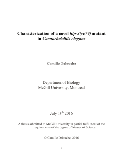 Characterization of a novel htp-3(vc79) mutant in