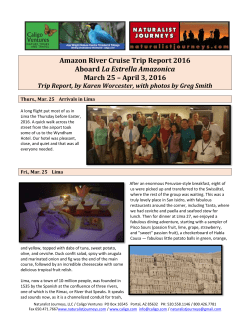 Amazon River Cruise Trip Report 2016 Aboard La Estrella