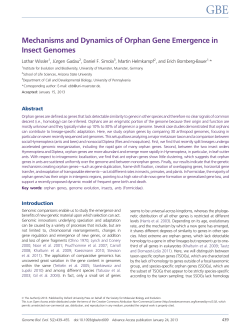 Mechanisms and Dynamics of Orphan Gene Emergence in Insect