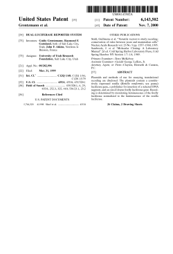 Dual-luciferase reporter system