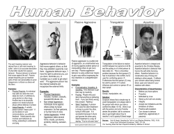 Passive Aggressive Triangulation Assertive Passive Aggressive