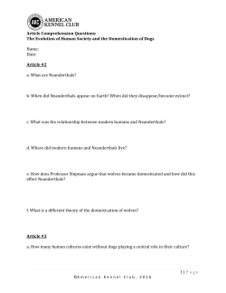 Page Article Comprehension Questions