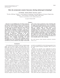 How do cormorants counter buoyancy during submerged swimming?