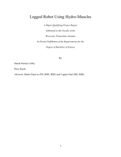 Legged Robot Using Hydro-Muscles - Worcester Polytechnic Institute