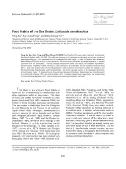 Food Habits of the Sea Snake, Laticauda semifasciata