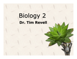 Supergroup: Unikonta