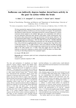 Isoflurane can indirectly depress lumbar dorsal horn activity in the
