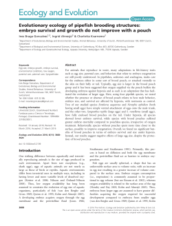 Evolutionary ecology of pipefish brooding structures: embryo