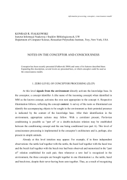 information processing, conceptor, consciousness model