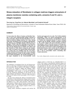 Stress-relaxation of fibroblasts in collagen matrices triggers