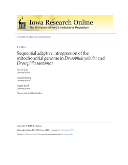 Sequential adaptive introgression of the mitochondrial genome in <i
