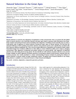 Natural Selection in the Great Apes Article Open