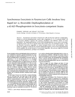 Synchronous Exocytosis in Paramecium Cells Involves Very Rapid