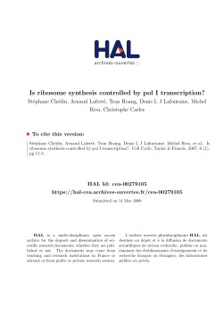 Is ribosome synthesis controlled by pol I transcription?