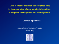Presentation - www.RNA
