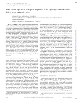 AMP kinase regulation of sugar transport in brain - AJP-Cell