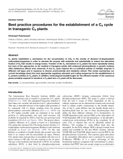 Best practice procedures for the establishment of a C4 cycle in