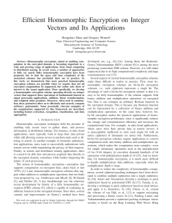 Efficient Homomorphic Encryption on Integer Vectors and Its