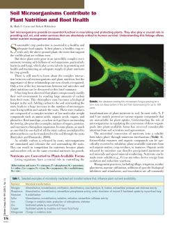 Soil Microorganisms Contribute to Plant Nutrition and