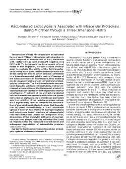 Rac1-Induced Endocytosis Is Associated with Intracellular