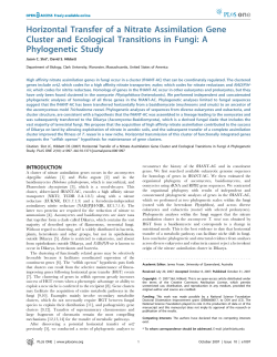 Horizontal Transfer of a Nitrate Assimilation Gene