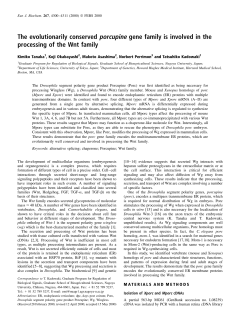 The evolutionarily conserved porcupine gene family is involved in