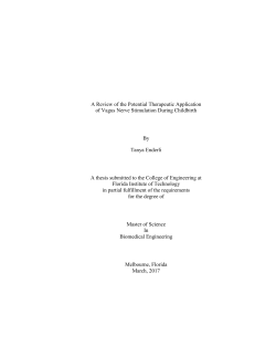 A Review of the Potential Therapeutic Application of Vagus Nerve