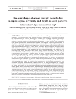 Size and shape of ocean margin nematodes: morphological