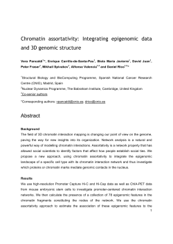Chromatin assortativity: Integrating epigenomic data and 3D