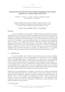 Experimental and numerical study of flame propagation with