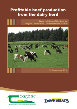 Profitable Beef Production from the Dairy Herd 2010