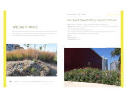 specialty mixes - Millborn Seeds
