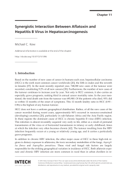 Synergistic Interaction Between Aflatoxin and