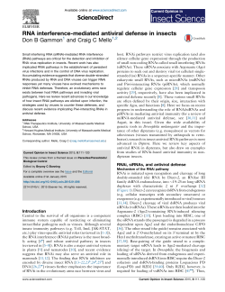 RNA interference-mediated antiviral defense in insects