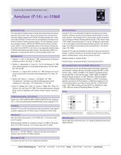 Amylase (P-14): sc-31868 - Santa Cruz Biotechnology