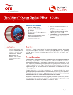TeraWave&trade; Ocean Optical Fiber - SCUBA