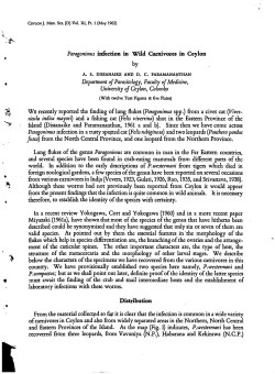 Paragonimus infection in Wild Carnivores in Ceylon