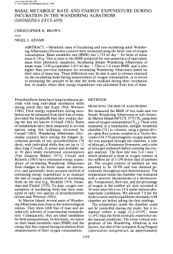Basal Metabolic Rate and Energy Expenditure During Incubation in