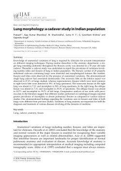Lung morphology: a cadaver study in Indian population