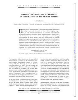 oxygen transport and utilization: an integration of the muscle systems